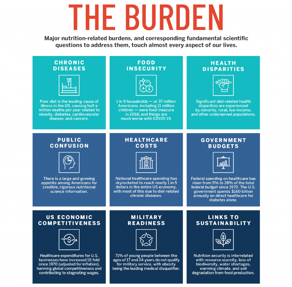 a grid of 9 burdens that the food system currently contributes to